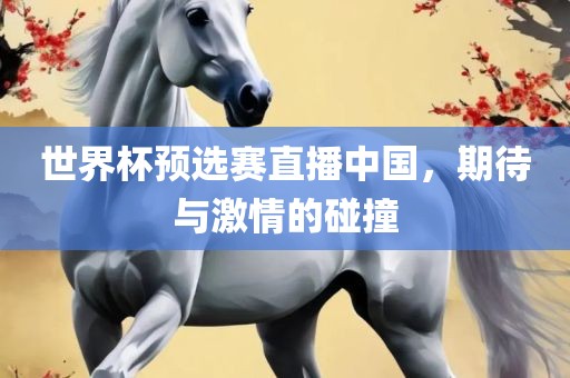 世界杯预选赛直播中国，期待与激情的碰撞