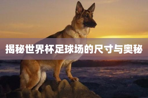 揭秘世吉安市靖泰电力工程有限公司界杯足球场的尺寸与奥秘