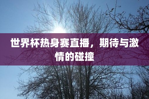 世界杯热身赛直播，期待与激情的碰撞
