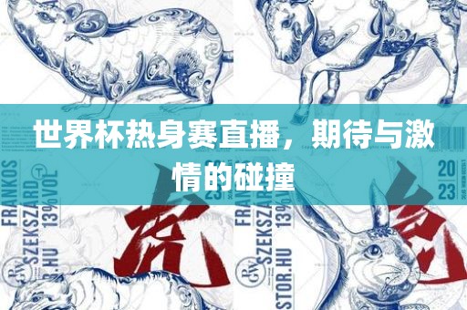世界杯热身赛直播，期待与激情的碰撞