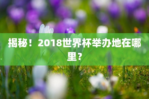 揭秘！2018世吉安市靖泰电力工程有限公司界杯举办地在哪里？