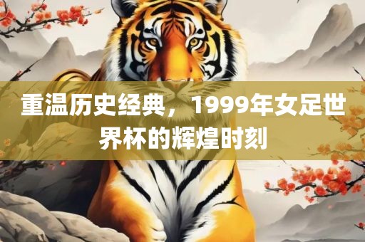 重温历史经典，1999年女足世界杯的辉煌时刻