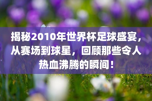 揭秘2010年世界杯足球盛宴，从赛场到球星，回顾那些令人热血沸腾的瞬间！