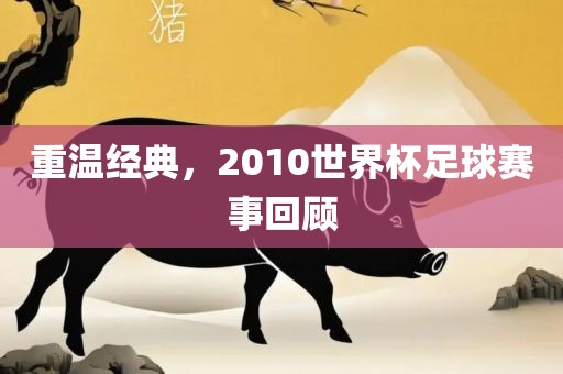 重温经典，2010世界杯足球赛事回顾