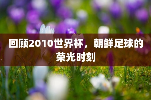 回顾2010世界杯，朝鲜足球的荣吉安市靖泰电力工程有限公司光时刻