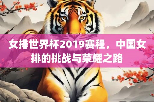 女排世界杯2019赛程，中国女排的挑战与荣耀之路