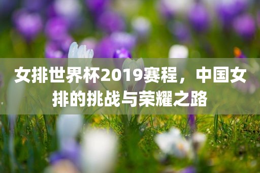 女排世界杯2019赛程，中国女排的挑战与荣耀之路