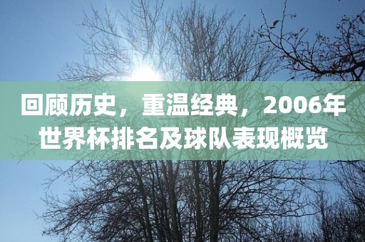 回顾历史，重温经典，2006年世界杯排名及球队表现概览