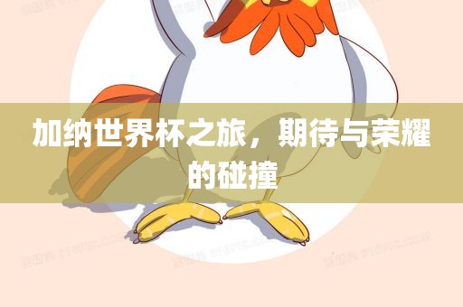 加纳世界杯之旅，期待与荣耀的碰撞