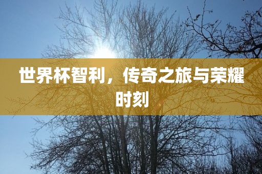 世界杯智利，传奇之旅与荣耀时刻