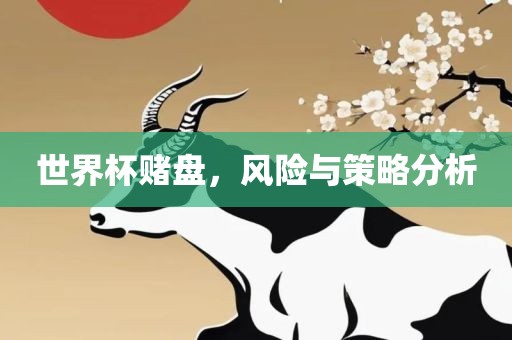 世界杯赌盘，风险与策略分析