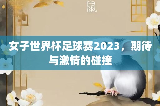 女子世界杯足球赛2023，期待与激情的碰撞