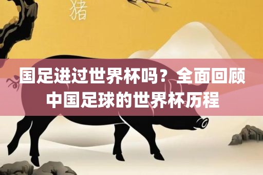 国足进过世界杯吗？全面回顾中国足球的世界杯历程