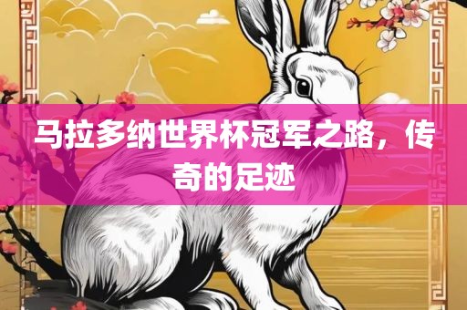 马拉多纳世界杯冠军之路，传奇的足迹