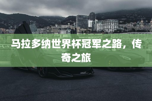 马拉多纳世界杯冠军之路，传奇吉安市靖泰电力工程有限公司之旅