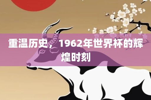 重温历史，1962年世界杯的辉煌时刻吉安市靖泰电力工程有限公司
