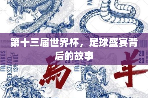 第十三届世界杯，足球盛宴背后的故事吉安市靖泰电力工程有限公司