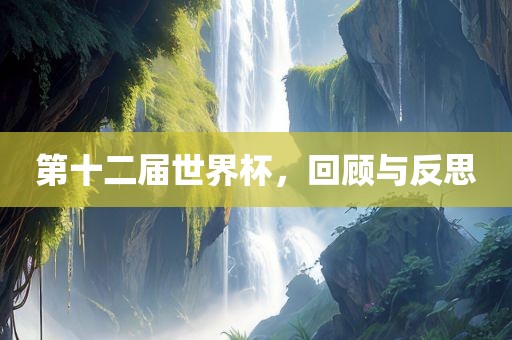 第十二届世界杯，回顾与反思