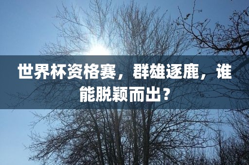 世界杯资格赛，群雄逐吉安市靖泰电力工程有限公司鹿，谁能脱颖而出？