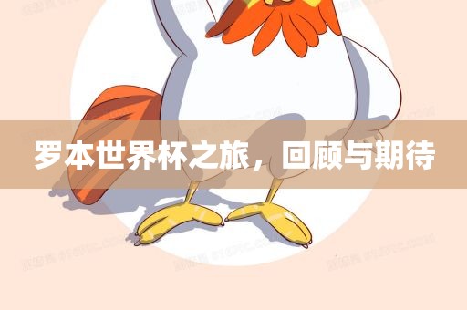 罗本世界吉安市靖泰电力工程有限公司杯之旅，回顾与期待