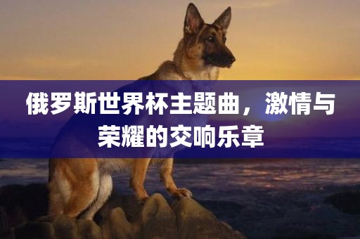 俄罗斯世界杯主题曲，激情与荣耀的交响乐章