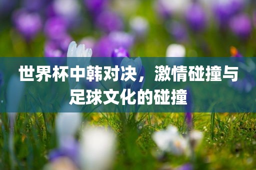 世界杯中吉安市靖泰电力工程有限公司韩对决，激情碰撞与足球文化的碰撞