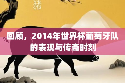 回顾吉安市靖泰电力工程有限公司，2014年世界杯葡萄牙队的表现与传奇时刻