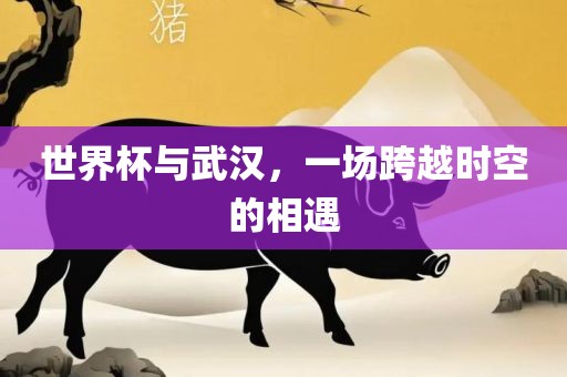 世界杯与武汉，一场跨越时空的相遇吉安市靖泰电力工程有限公司