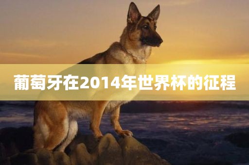 葡萄牙在2014年世界杯的征程