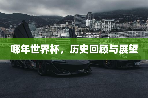 哪年世界杯，历史回顾与展望