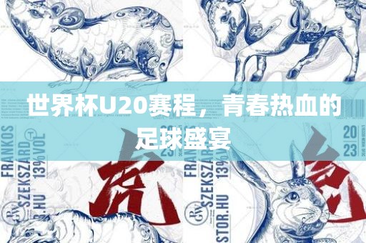 世界杯U20赛程，青春热血的足球盛宴