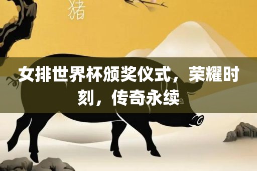 女排世界杯颁奖仪式，荣耀时刻，传奇永续吉安市靖泰电力工程有限公司