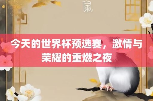 世界杯预选赛 第14页