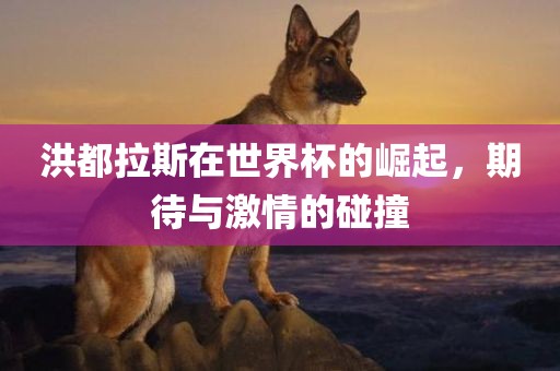 洪都拉斯在世界杯的崛起，期待与激情的碰撞吉安市靖泰电力工程有限公司