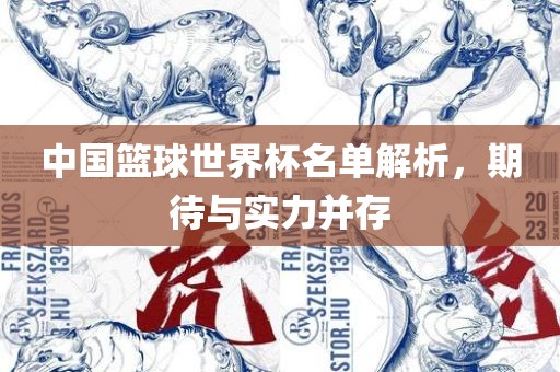 中国篮球世界杯名单解析，期待与实力并存