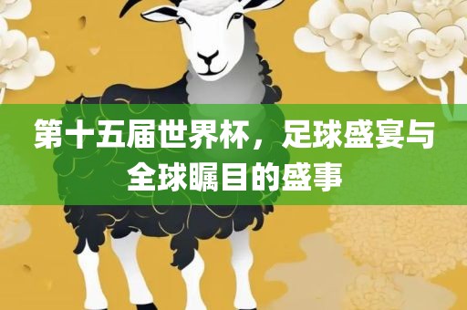足球盛宴 第13页