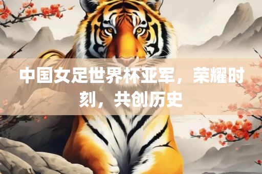 中国女足世界杯亚军，荣耀时刻，共创历史