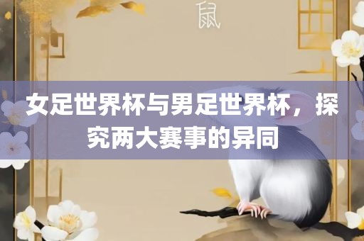 女足世界杯与男足世界杯，探究两大赛事的异同
