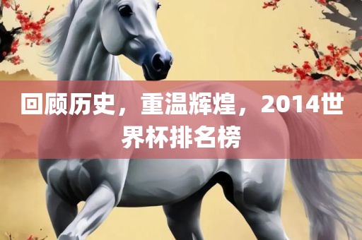 回顾历史，重温辉煌，2014世界杯排名榜吉安市靖泰电力工程有限公司