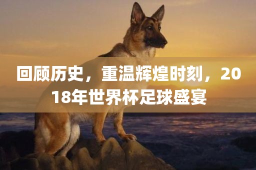抖音热搜 第292页