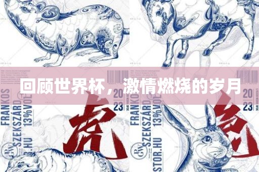 回顾世界杯，激情燃烧的岁月