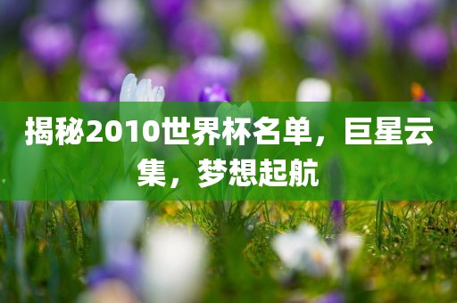 世界杯名单 第2页