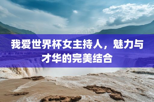 我爱世界杯女主持人，魅力与才华的完美结合