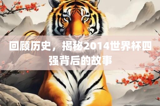 回顾历史，揭秘2014世界杯四强背后的故事