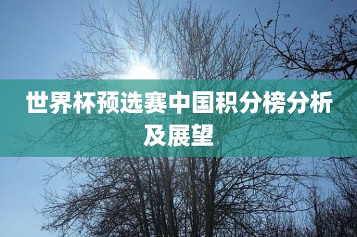 世界杯预选赛中国积分榜分析及展望吉安市靖泰电力工程有限公司
