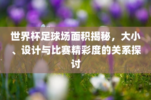 世界杯足球场面积揭秘，大小、设计与比赛精彩度的关系探讨