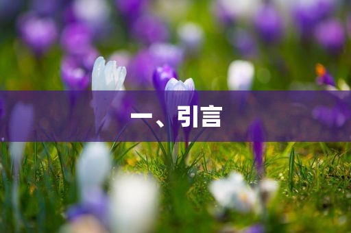 一、引言吉安市靖泰电力工程有限公司