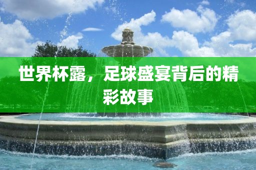 世界杯露，足球盛宴背后的精彩故事吉安市靖泰电力工程有限公司
