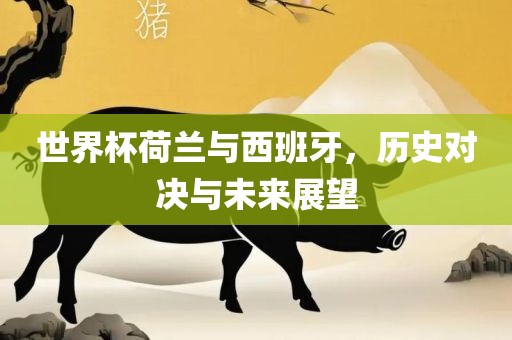 世界杯荷兰与西班牙，历史对决与未来展望吉安市靖泰电力工程有限公司