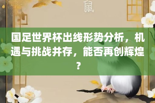 国足世界杯出线形势分析，机遇与挑战并存，能否再创辉煌？
